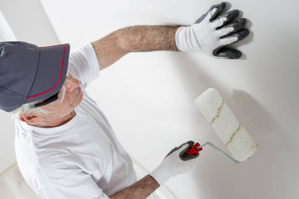 Best Biohazard Mold Removal  in Dulce, NM