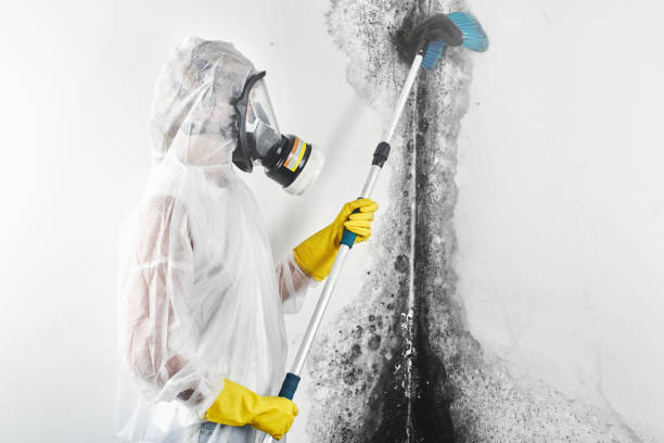 Best Airborne Mold Testing  in Dulce, NM