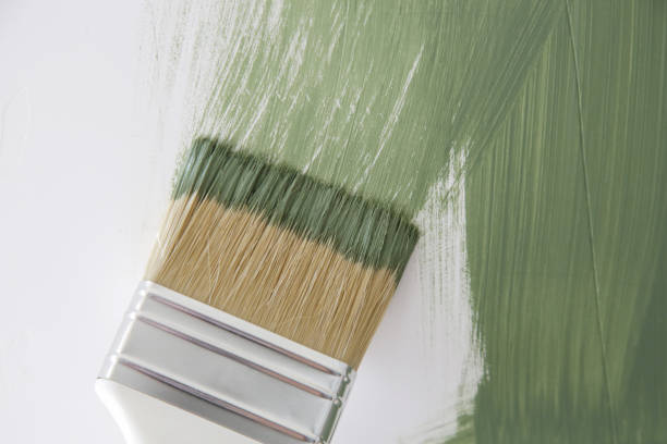 Best Dehumidification Services  in Dulce, NM