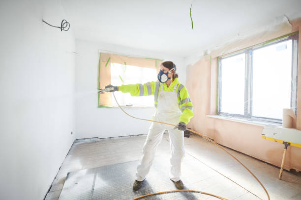  Dulce, NM Mold Removal Pros