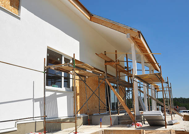 Best Mold Damage Restoration  in Dulce, NM