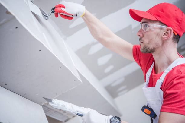 Best Forensic Mold Investigation  in Dulce, NM